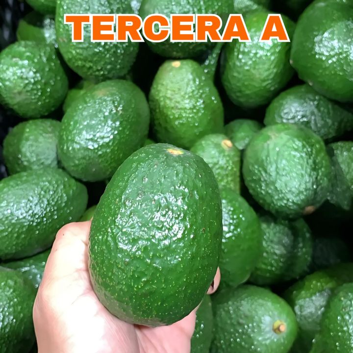 Mexfrut Productores y Comercializadores