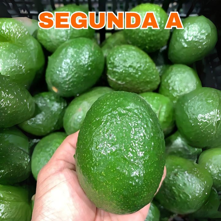 Mexfrut Productores y Comercializadores